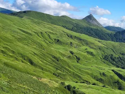 Paysage naturel près de l'appartement