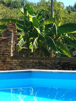 Piscine de l'établissement Domaine La Salvagie, chambres d'hôtes avec spa, sauna, piscine, massages ou située à proximité