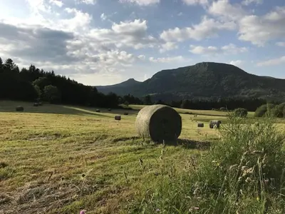 Paysage naturel près de l'appartement