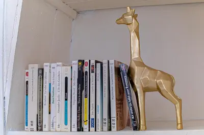 Bibliothèque dans l'appartement