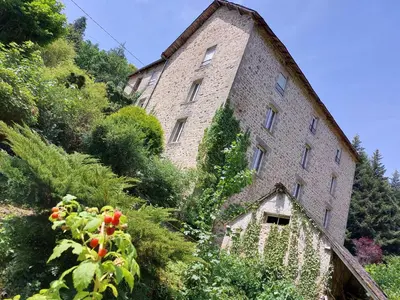 Jardin de l'établissement SAGE Studio