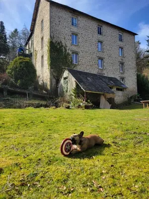 Animal ou animaux domestique(s) séjournant avec des clients dans l'établissement Chambre Familiale