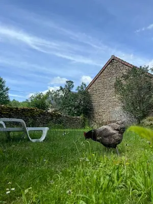 Jardin de l'établissement Gîtes Le Fer A Cheval Vassivière