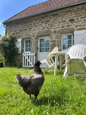 Jardin de l'établissement Gîtes Le Fer A Cheval Vassivière