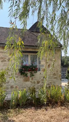 Jardin de l'établissement Gîte la Tanière classé 3 étoiles avec terrasse et piscine