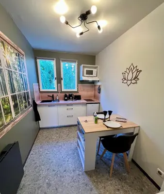 Cuisine ou kitchenette dans l'établissement Cocon proche CHU-EMAILLEURS