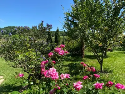 Jardin de l'établissement Le palmier d'Alice