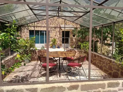 Jardin de l'établissement Le palmier d'Alice