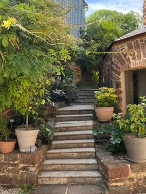 Jardin de l'établissement Le palmier d'Alice