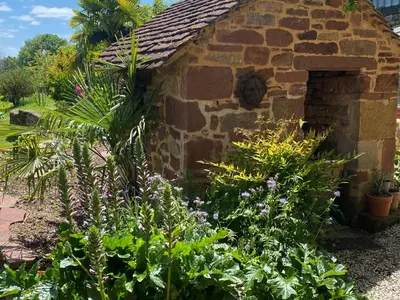 Jardin de l'établissement Le palmier d'Alice