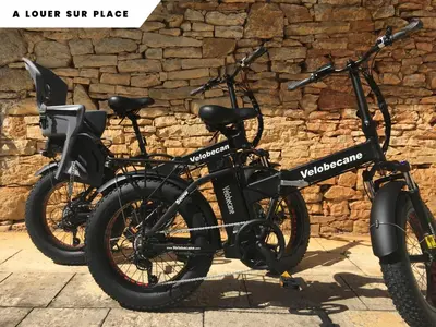 Vélo sur le terrain de l'établissement Gîte Dordogne Périgord ou dans les environs