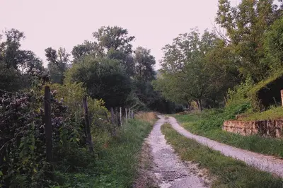 Paysage naturel près de la maison de vacances