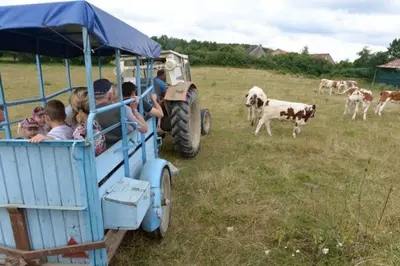 Animaux dans la maison de vacances ou à proximité