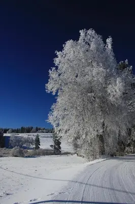 L'établissement Le Rubis de Chanterive appartement dans superbe maison de maître en hiver