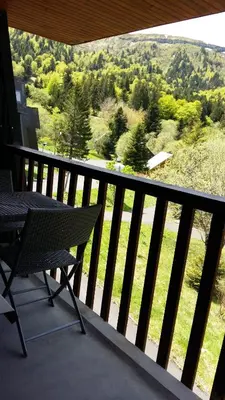 Plan de l'établissement appartement avec balcon au Mont Dore