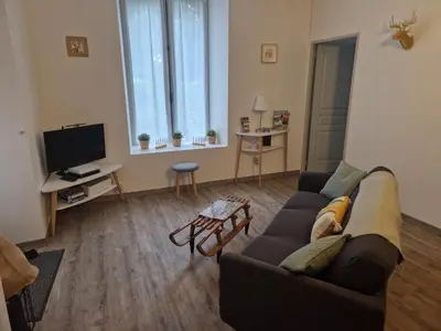 Télévision ou salle de divertissement dans l'établissement Le p'tit Sancy 2