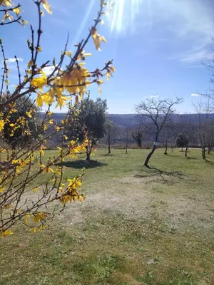 Paysage naturel près de la maison de vacances