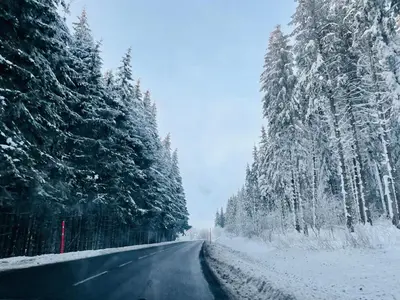L'établissement Le 77 - chalet nature proche S.Besse en hiver