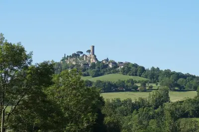 Paysage naturel près de le chalet