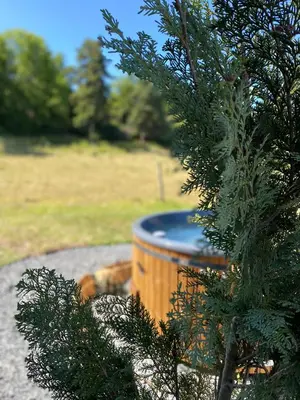 Jardin de l'établissement Cottage 2 à 4 personnes ,au cœur des volcans