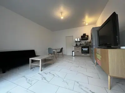 Télévision ou salle de divertissement dans l'établissement Bel appartement en centre ville de Limoges