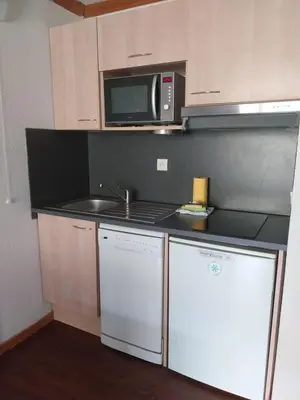 Cuisine ou kitchenette dans l'établissement Appartement Hauteurs Super Besse - 4 personnes -Piscine & Garage