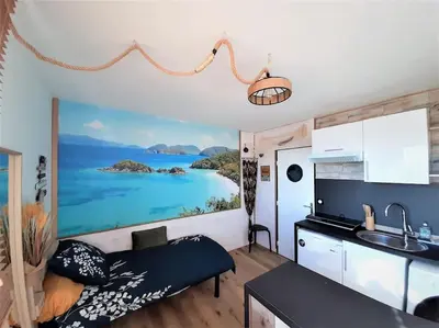 Cuisine ou kitchenette dans l'établissement Songe Tropical-InvIRI. Studio CHU. Parking Aisé.