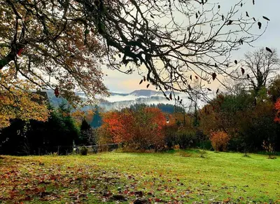 Paysage naturel près de la maison de vacances