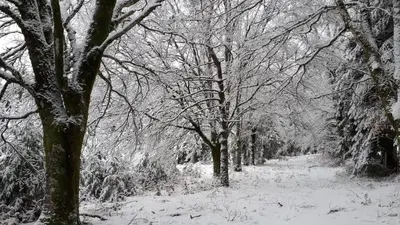 L'établissement Belle Longere de 10 couchages - lac de vassiviere en hiver