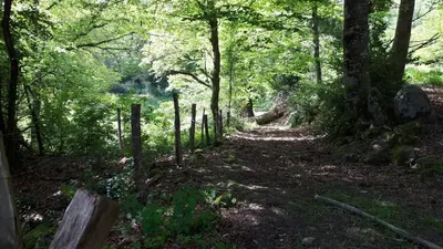 Paysage naturel près de la maison de vacances