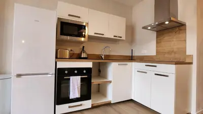 Cuisine ou kitchenette dans l'établissement Les Appartements de Louis Spacieux-centre ville-mairie