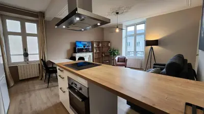Télévision ou salle de divertissement dans l'établissement Les Appartements de Louis Spacieux-centre ville-mairie