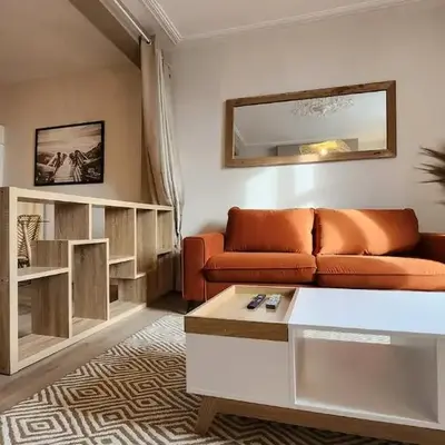 Les Appartements de Louis Spacieux-centre ville-mairie