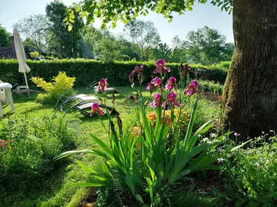 Jardin de l'établissement Cottage in Auvergne near Puy Mary