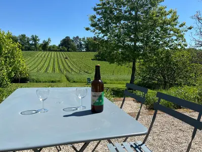 Boissons dans l'établissement Superbe gîte avec vue sur les vignes, dans le parc d'un manoir du 18ème siècle