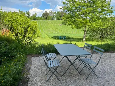 Jardin de l'établissement Superbe gîte avec vue sur les vignes, dans le parc d'un manoir du 18ème siècle