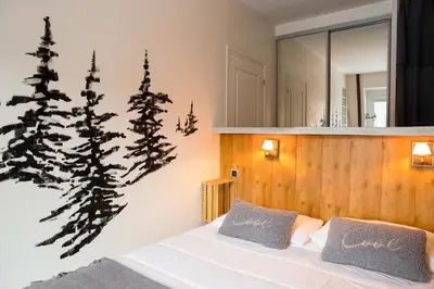 Un ou plusieurs lits dans un hébergement de l'établissement Cosy T2 au Mont Dore Sauna privé et vue montagne proche thermes