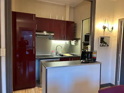 Cuisine ou kitchenette dans l'établissement Cosy T2 au Mont Dore Sauna privé et vue montagne proche thermes