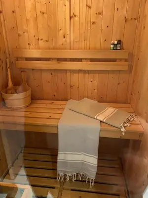 Plan de l'établissement Cosy T2 au Mont Dore Sauna privé et vue montagne proche thermes