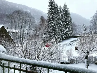 L'établissement Cosy T2 au Mont Dore Sauna privé et vue montagne proche thermes en hiver