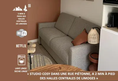 Coin salon dans l'établissement Magnifique studio - en hypercentre et rue piétonne - 1er Adrien Du Bouché