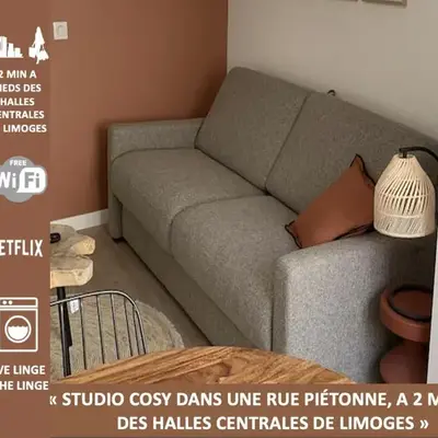 Magnifique studio - en hypercentre et rue piétonne - 1er Adrien Du Bouché