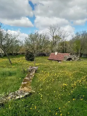 Paysage naturel près de la maison de vacances