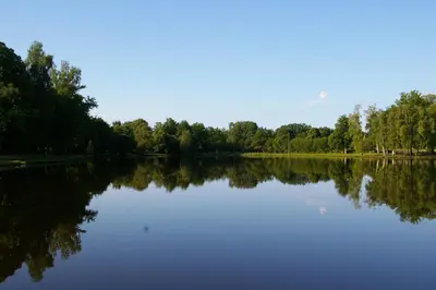 Paysage naturel près de le camping