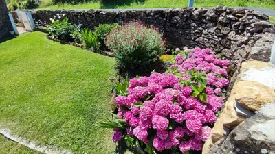 Jardin de l'établissement Au Grand Bonheur - Gîte Padirac - Rocamadour