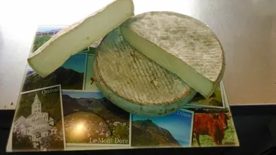 Plan de l'établissement Iris, Gîte Saint Antoine, Orcival, entre Sancy et Volcans d'Auvergne