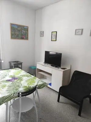 Télévision ou salle de divertissement dans l'établissement Iris, Gîte Saint Antoine, Orcival, entre Sancy et Volcans d'Auvergne