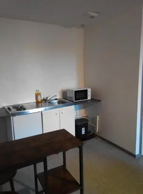 Cuisine ou kitchenette dans l'établissement Appartement tout équipé hypercentre Limoges