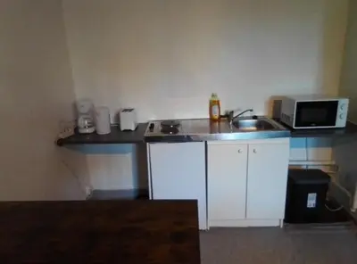 Cuisine ou kitchenette dans l'établissement Appartement tout équipé hypercentre Limoges