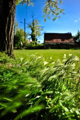 Jardin de l'établissement Domaine Lagardelle Rocamadour